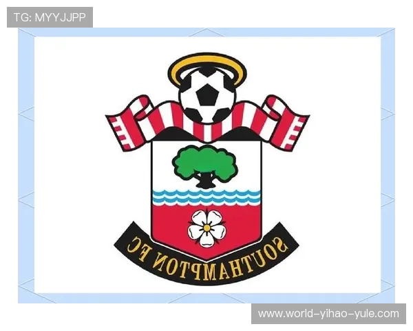 南安普顿足球俱乐部发展历程与未来潜力全面解析